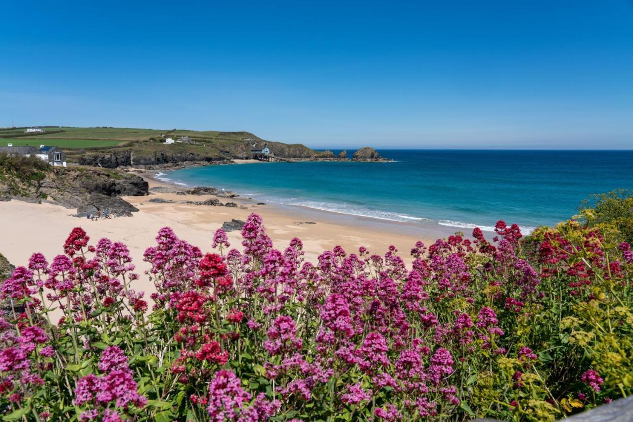 Tor View Bed and Breakfast Padstow Exteriör bild